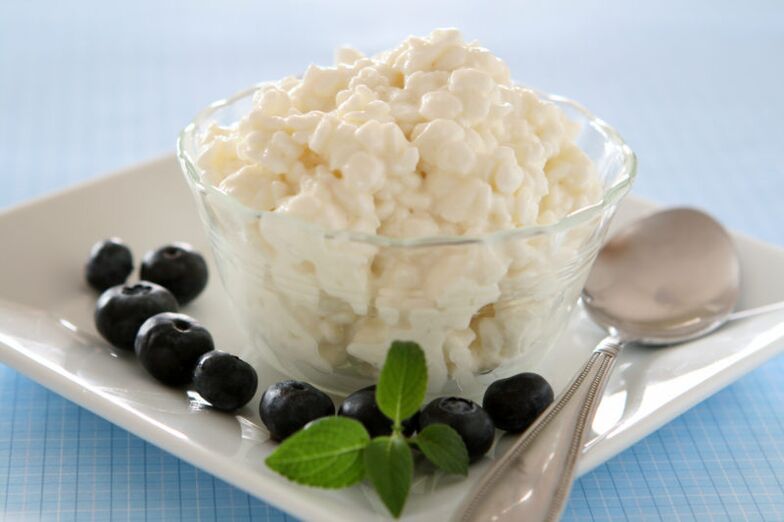 cottage cheese for Maggie's diet