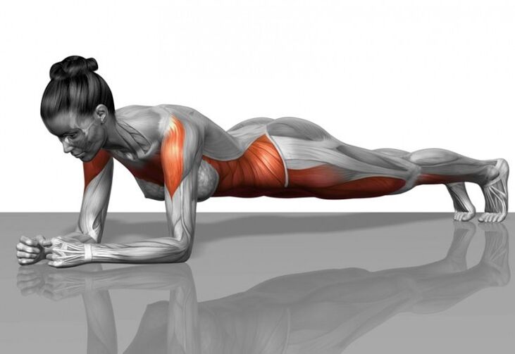 Muscle